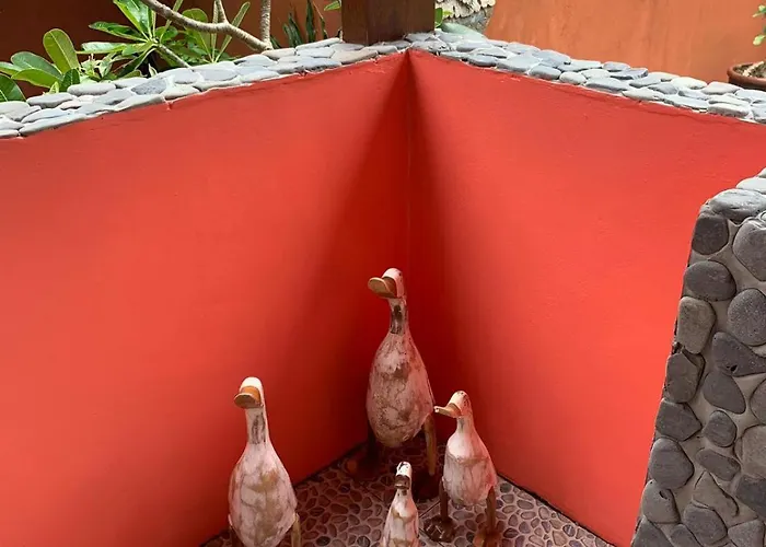 Anjing Guest house