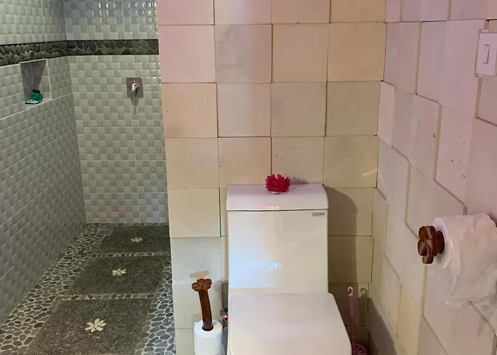 Guest house Anjing 4*