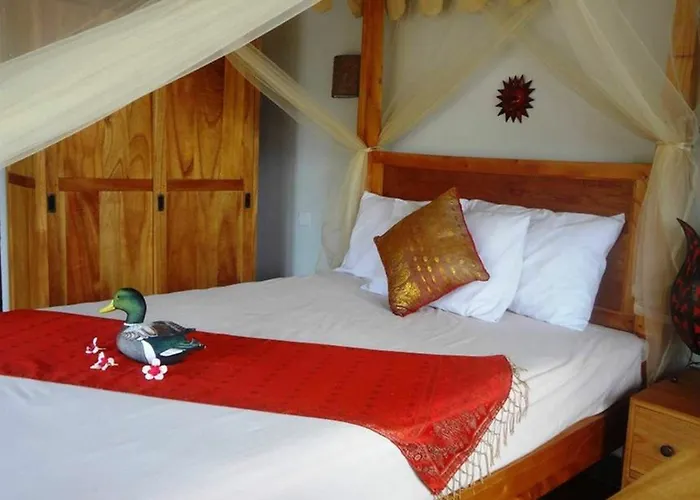 Guest house Anjing