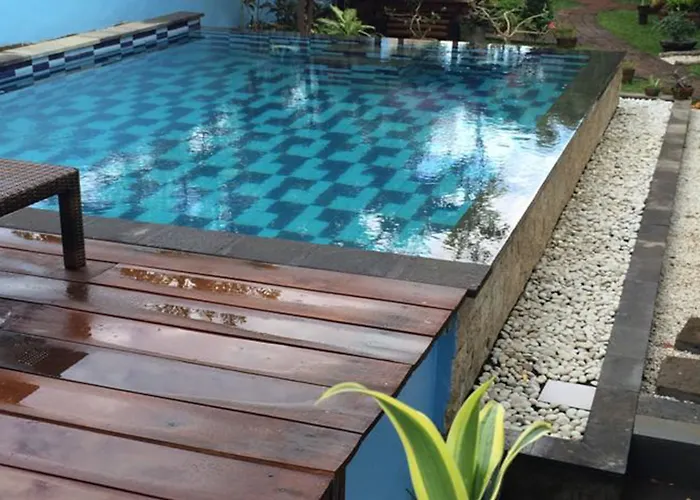 Anjing Nusa Dua (Bali)