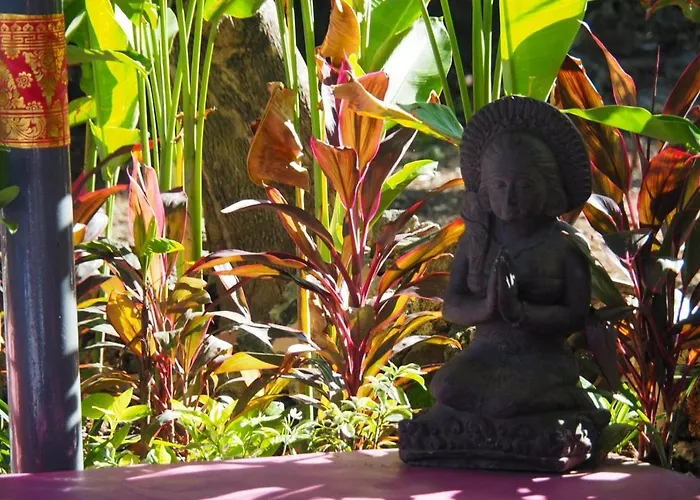 Anjing Nusa Dua (Bali)